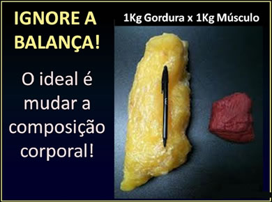 Carboidrato x Gordura