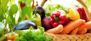 produtos-comida-organica