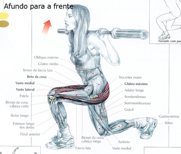 Afundo no step: Como executar corretamente e obter melhores resultados