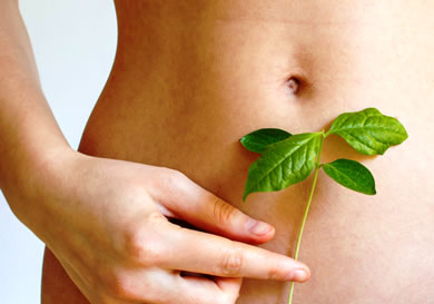 Como Manter A Saúde Do Seu Intestino