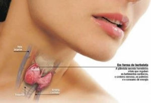 Seu treino e dieta não estão dando resultado