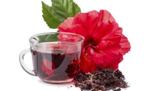 beneficios-cha-hibisco